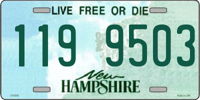 NH license plate 1199503