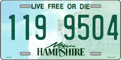 NH license plate 1199504