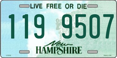 NH license plate 1199507