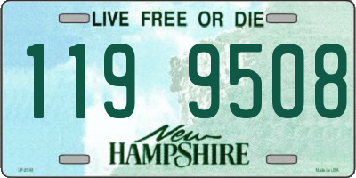 NH license plate 1199508