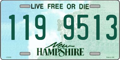 NH license plate 1199513
