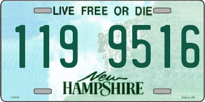 NH license plate 1199516