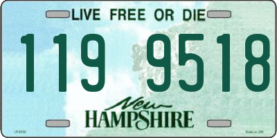 NH license plate 1199518