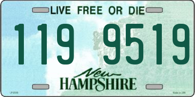 NH license plate 1199519