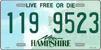 NH license plate 1199523