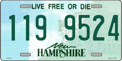 NH license plate 1199524