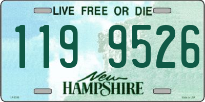 NH license plate 1199526