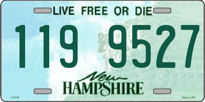 NH license plate 1199527