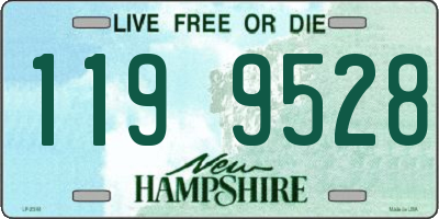 NH license plate 1199528