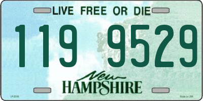 NH license plate 1199529