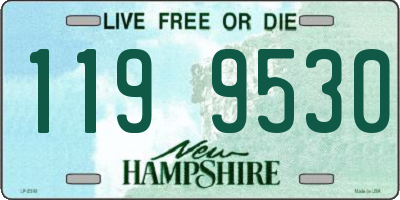 NH license plate 1199530