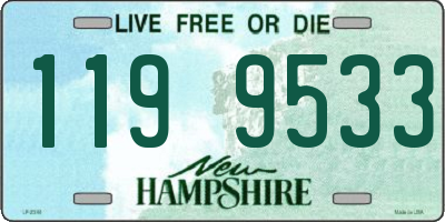 NH license plate 1199533
