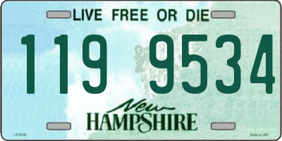 NH license plate 1199534