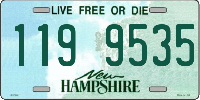 NH license plate 1199535