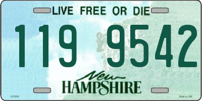 NH license plate 1199542