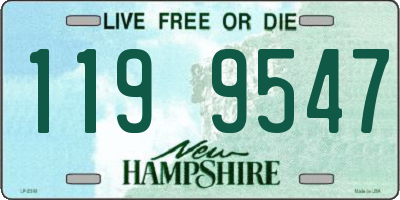 NH license plate 1199547