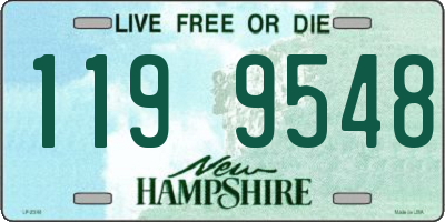 NH license plate 1199548