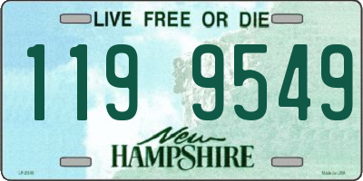 NH license plate 1199549
