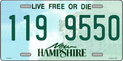 NH license plate 1199550