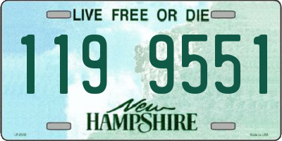 NH license plate 1199551