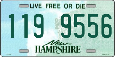 NH license plate 1199556