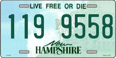 NH license plate 1199558