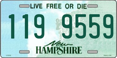 NH license plate 1199559