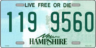 NH license plate 1199560