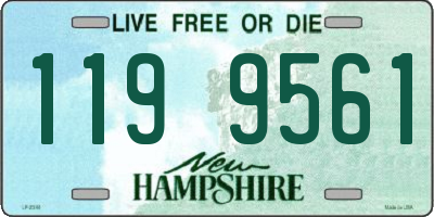 NH license plate 1199561