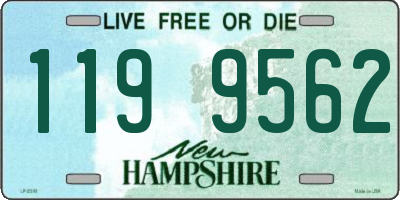 NH license plate 1199562