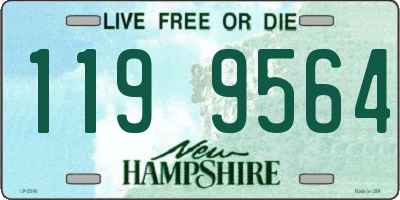 NH license plate 1199564