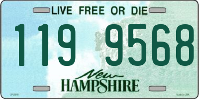NH license plate 1199568