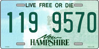 NH license plate 1199570