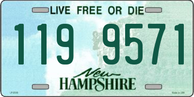 NH license plate 1199571