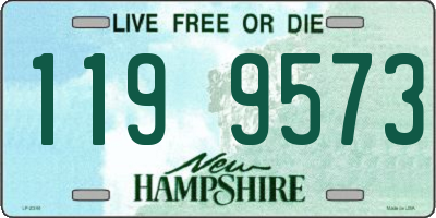 NH license plate 1199573