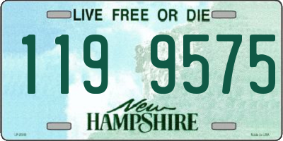 NH license plate 1199575