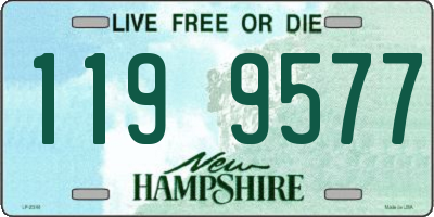 NH license plate 1199577
