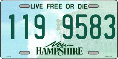 NH license plate 1199583