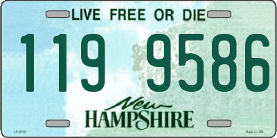 NH license plate 1199586