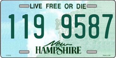 NH license plate 1199587