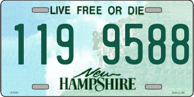 NH license plate 1199588