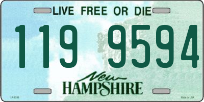 NH license plate 1199594