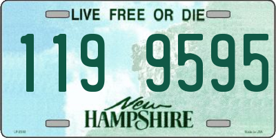 NH license plate 1199595