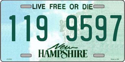 NH license plate 1199597