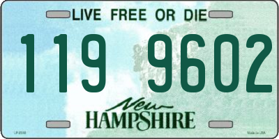 NH license plate 1199602