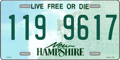 NH license plate 1199617