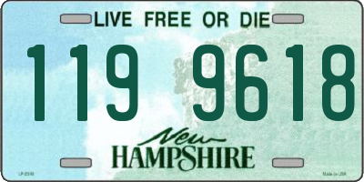 NH license plate 1199618