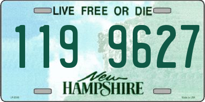 NH license plate 1199627