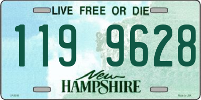 NH license plate 1199628