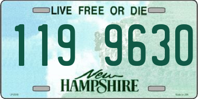 NH license plate 1199630